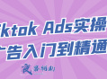 Tiktok Ads实操广告入门到精通