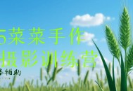 2025菜菜手作专业摄影训练营
