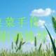 2025菜菜手作专业摄影训练营