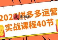 2025拼多多运营实战课程40节