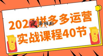2025拼多多运营实战课程40节