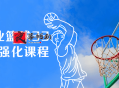 Art职业篮球33天运球强化课程