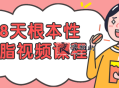 28天根本性减脂视频课程