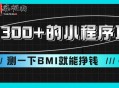 小程序测量身高项目日入300+ 测BMI挣钱