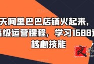 1688高级运营课 学习核心技能