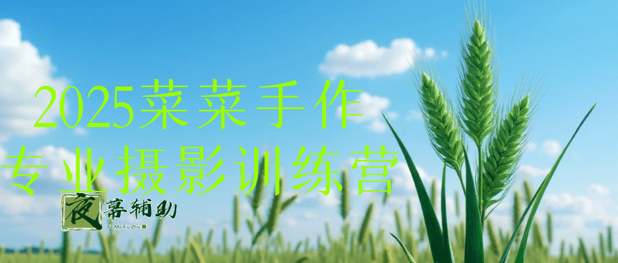 T059M000002KegoE20S9sR.jpg